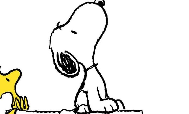 Snoopy e sua turma 1
