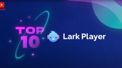 Lark Player Music Box Brazil