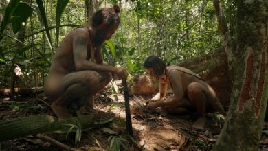 Largados e Pelados Brasil