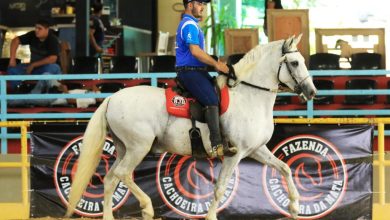 Ganhar dinheiro com cavalos é possível? Eudes Bicalho conta como começou a produzir grandes animais de raça no haras BJB