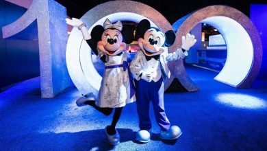 Mickey e Minnie 100 anos