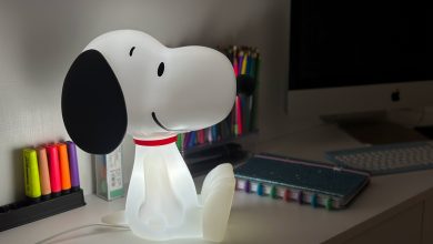 Snoopy Decorfun