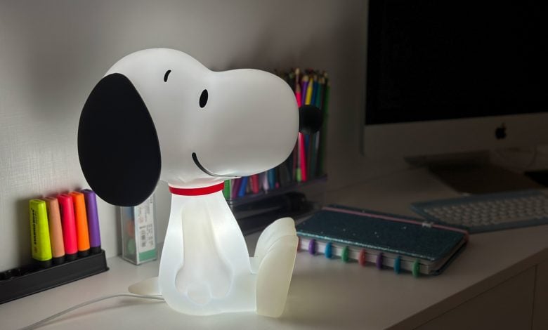 Snoopy Decorfun