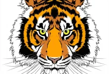 depositphotos 67080529 stock illustration tiger head tattoo