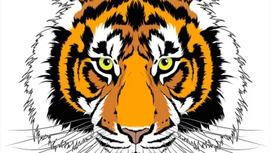 depositphotos 67080529 stock illustration tiger head tattoo