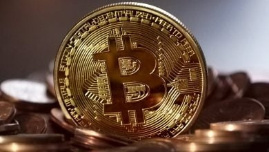 Celebridades que investem em Bitcoin