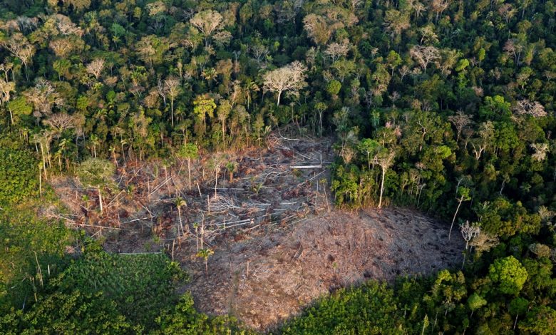 Imagem: reprodução