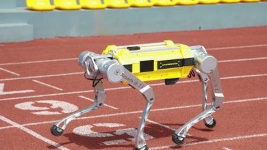 Imagem: reprodução