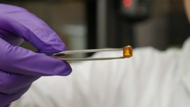 Imagem: reprodução