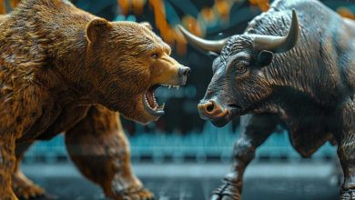 Bull Market e Bear Market: identifique a diferença sem precisar de especialistas