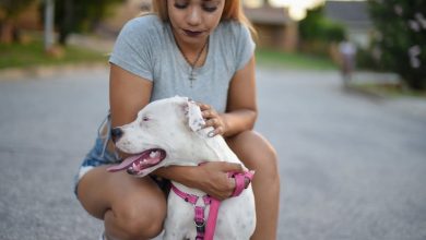 Pet lover: como mulheres estão transformando o amor pelos animais em estilo de vida e renda