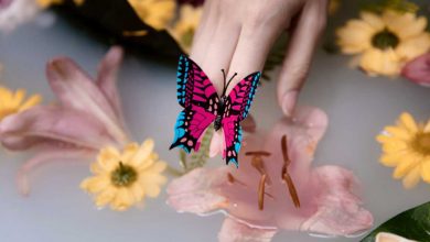 Significado espiritual das borboletas: Transformação, símbolos e mensagens