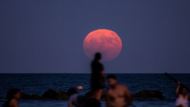 Lua de Morango poderá ser vista no Brasil; saiba o melhor horário para observar o fenômeno