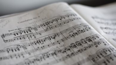 10 escolhas de quem transformou a paixão pela música em uma jornada real